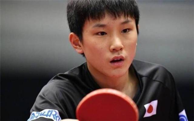 皇家社会需 皇家社会需